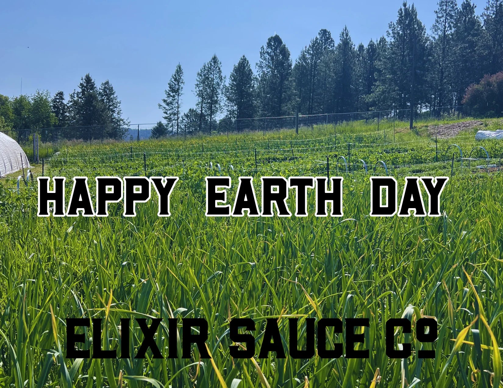 April Heat Check: Earth, Fire, and a Little Something for Mom